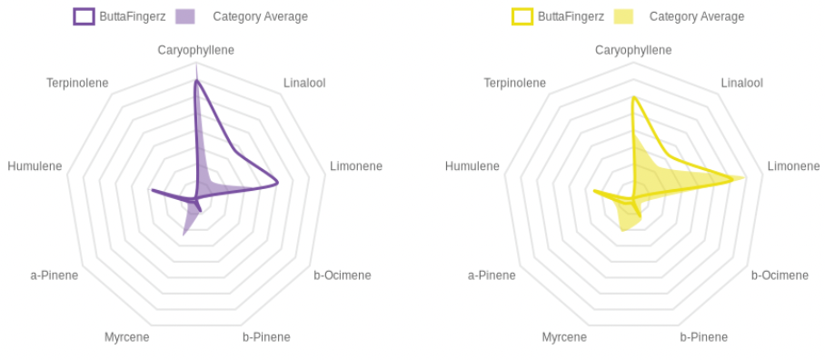 SDP%20Compass%20Compare_4_12_28_23